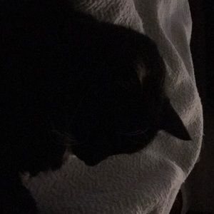 Meet your Posher, Ann